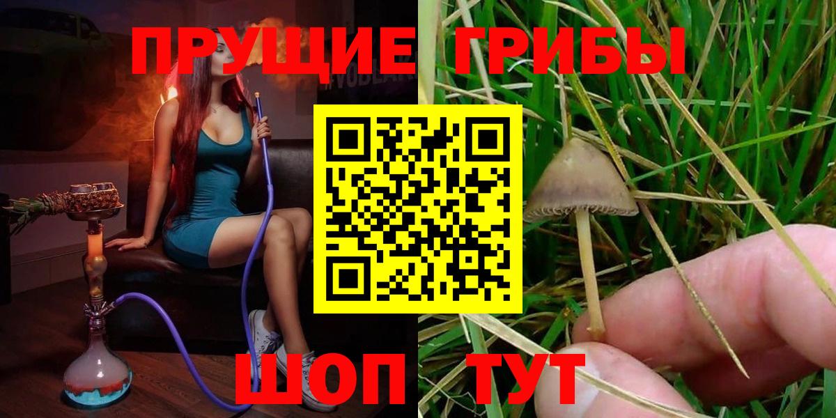 Осинники  Псилоцибиновые грибы мухоморы  как найти наркотики  Вход с VPN 